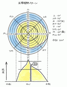 c_g_e_16