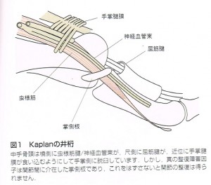 MP脱臼20140418_0000