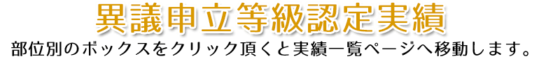 異議申立等級認定実績