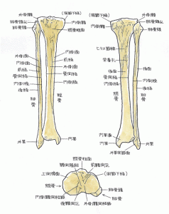 20120117