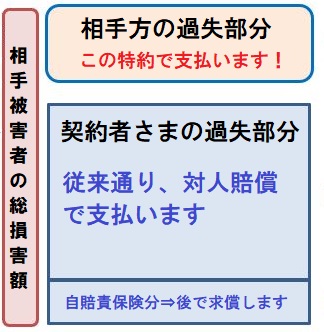 対歩行者等傷害特約 ～ あいおいニッセイ同和さんの特約を分析 |後遺